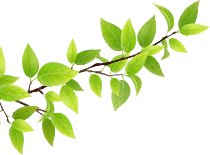 第3弾で募集するのは映画『羊と鋼の森』の感想。 - Hitsuji To Hagane No Mori (411x304)