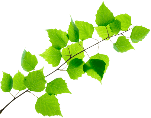 Our Responsibility - Technico-flor Inc (500x391)