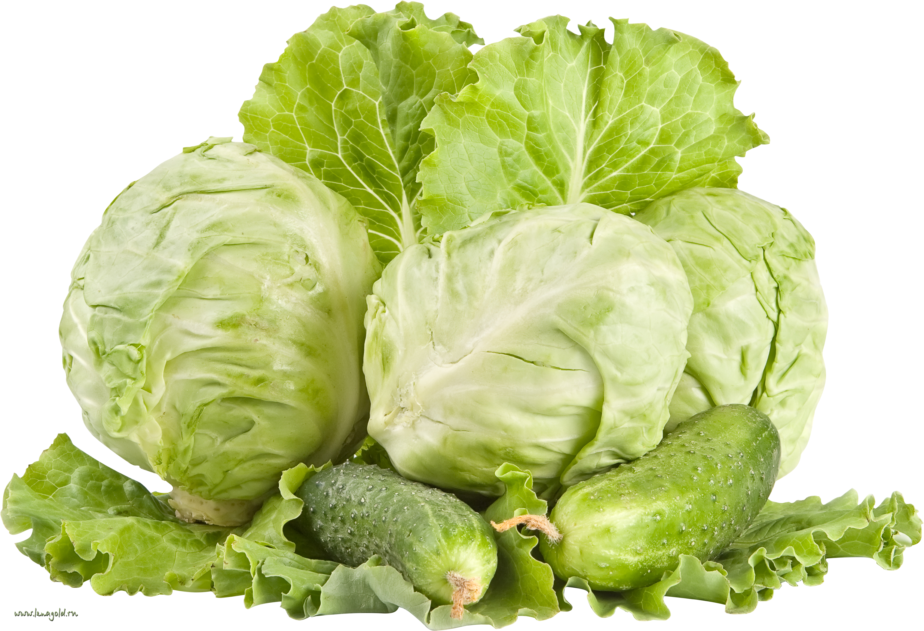 Cabbage Png (3067x2094)