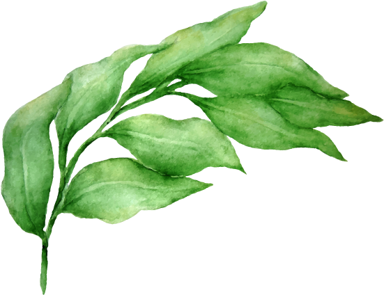 Mazangani - Vector Graphics (600x600)