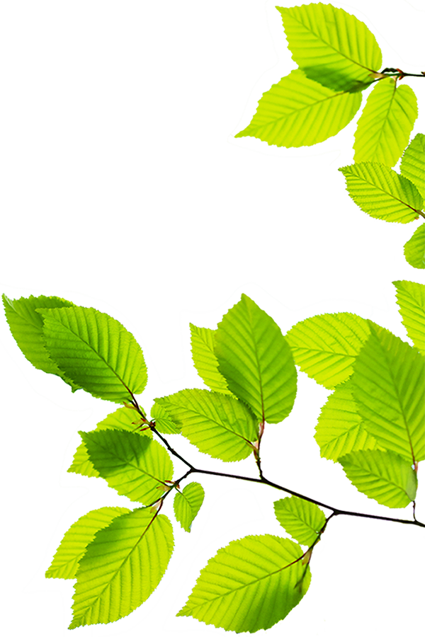 Families - Bethesda (600x900)