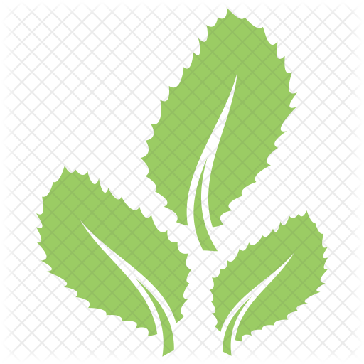Leaves Icon - Stock Illustration (512x512)