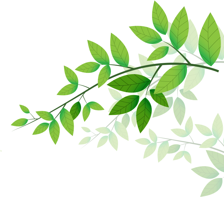 درباره مواد غذایی شهنام - Soumi's Milk Mask Scruber (737x666)