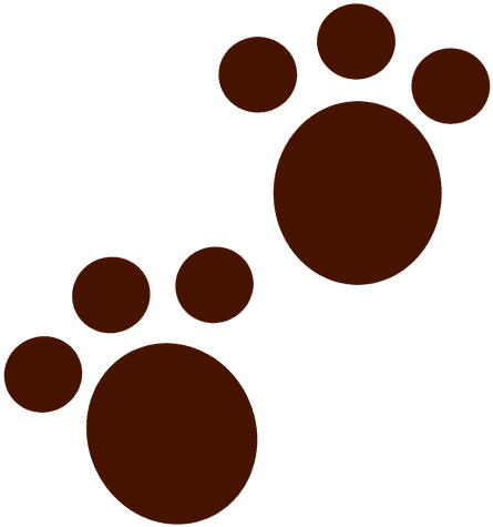 Footprint Clipart Koala - Pegadas De Coelho Png (512x512)