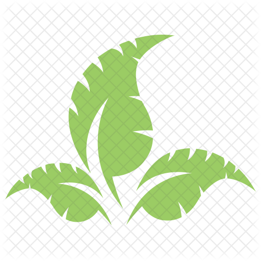 Leaves Icon - Stock Illustration (512x512)