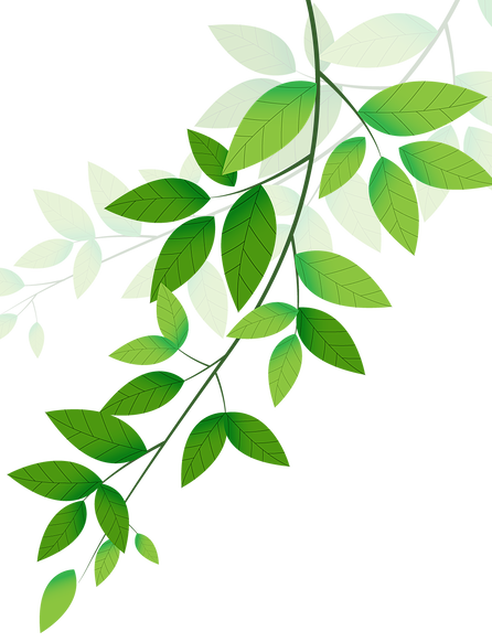 La Tierra Del Siempre Volver - La Tierra Del Siempre Volver (446x582)