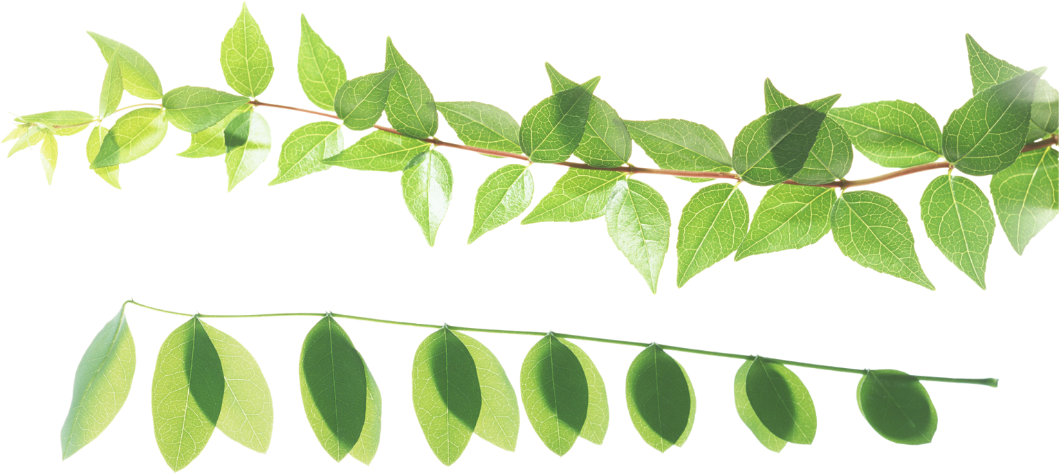 Natali На - Dragon Quest Brass Quintet (1600x745)