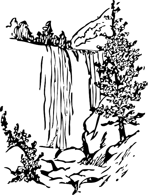 Water, Black, Fall, Tree, White, Cartoon, Nature, Falls - Waterfall Black And White Clipart (485x640)