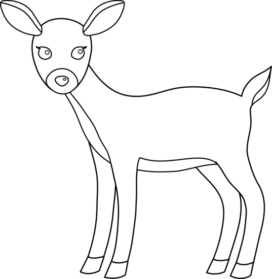 Crow Clipart, Birds And Crow Clip Art Photo, - Clip Art Of Black And White Deer (537x550)