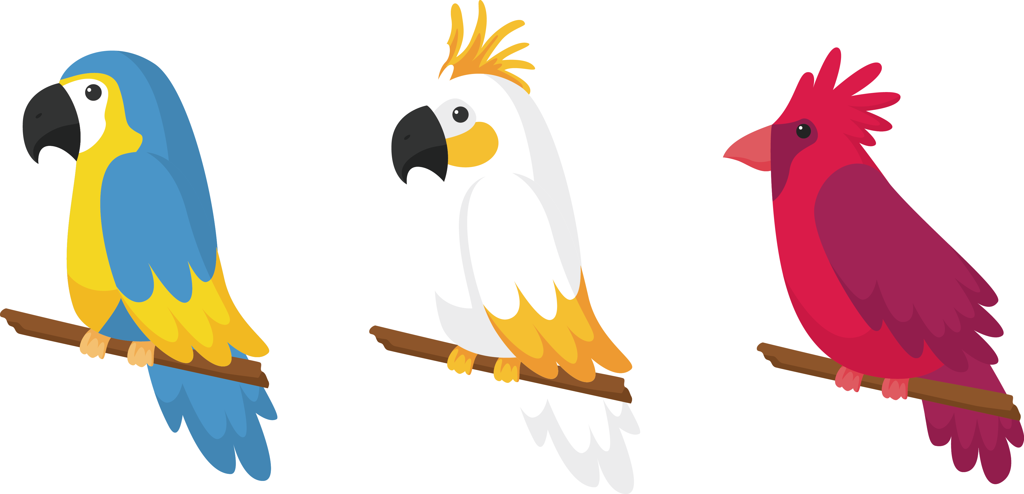 Parrot Bird Drawing - Adesivi Murali – Wall Stickers – Pappagallo Rosso (4068x1964)