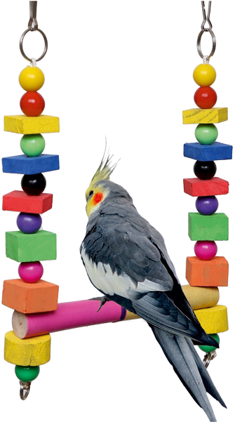 Aazil Multicolor Hanging Birds Swing Toy - Cockatiel (500x600)