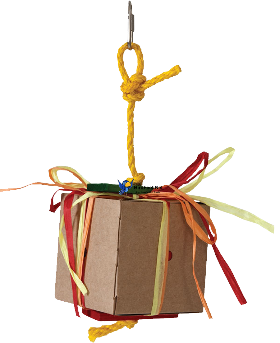 Paradise Toys, Chipboard Treasure Box, Large, For Pet - Caitec- Bird Toys 020-00746 Caitec Bird Toy 746 Treasure (900x1200)