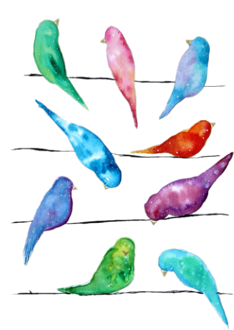 Transparent Galaxy Birds - Copyright Infringement (500x700)