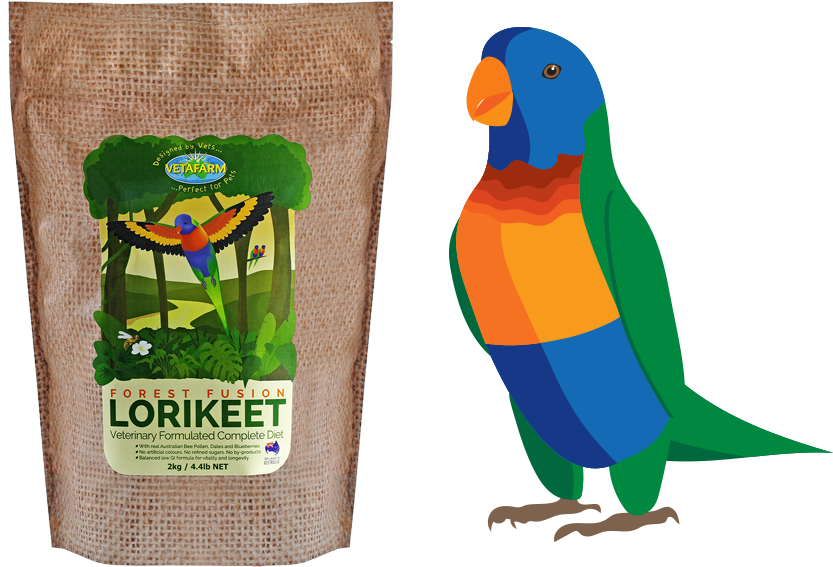 Forest Fusion Blog - Parrot (879x600)