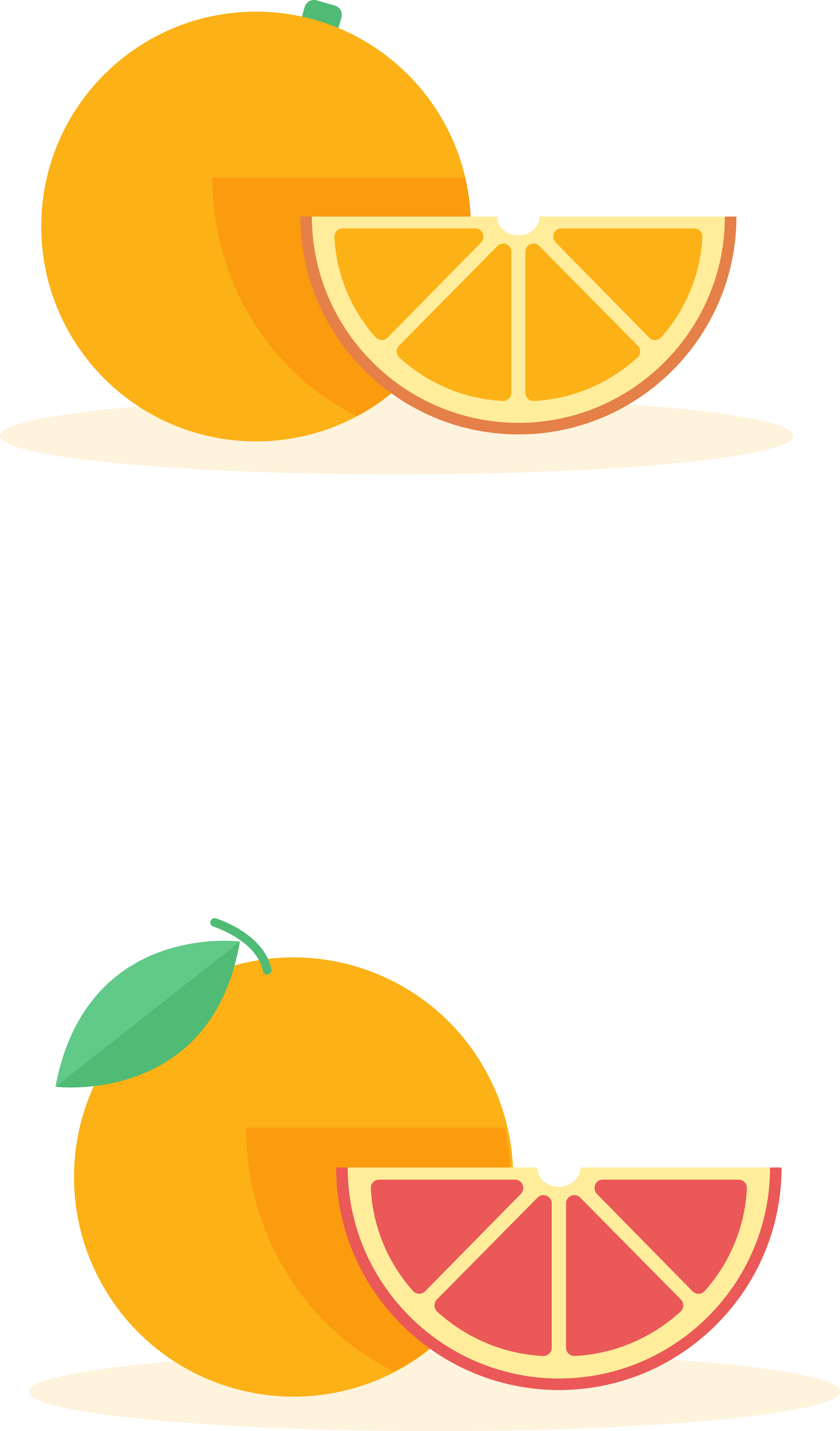 Orange Grapefruit Cartoon Pomelo Clip Art - Grapefruit Cartoon Art (3240x5518)