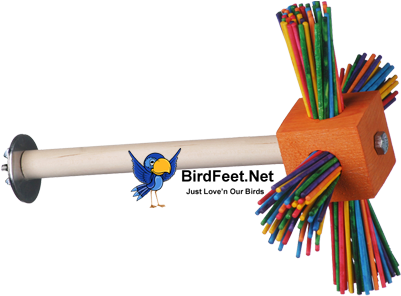 Superbird, Spin A Roo Perch, For Pet Birds - Super Bird Creations Spin A Roo (400x400)