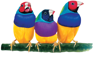 20th Century Fox Home Entertainment Logo Viewsonic - Viewsonic Rlc-076 / Replacement Lamp For Pro8600/pro8520hd (450x311)