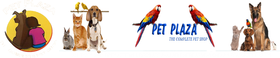 Picture - Tails From Around The World (930x200)