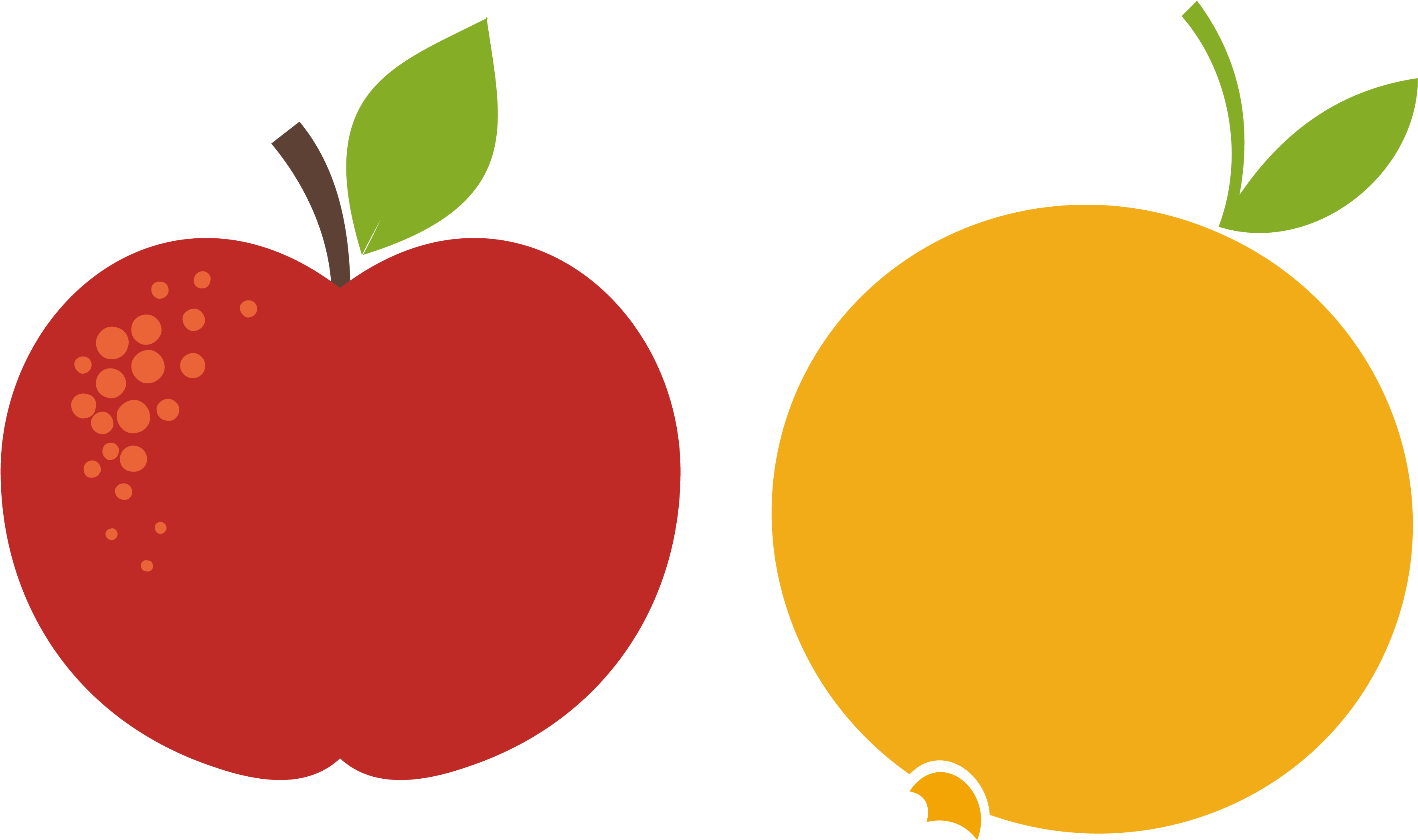 Apple Orange Red - Apples And Oranges Vector (3775x2450)