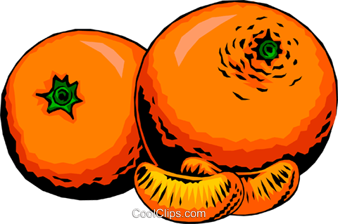 Two Oranges Royalty Free Vector Clip Art Illustration - Staffordshire (480x319)
