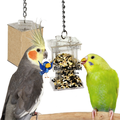 Paradise Toys, Foraging Box Feeder, With Birds - Group Of Pets (400x400)