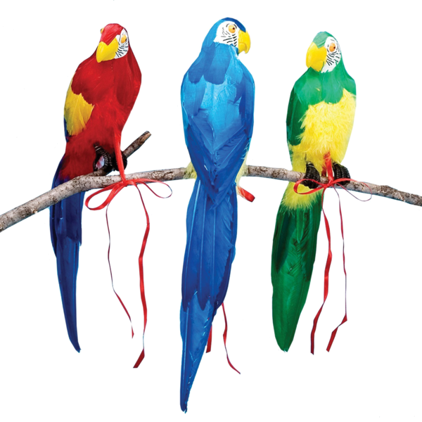 Parrots - Beistle Feathered Parrots, Assorted, 20" (600x600)