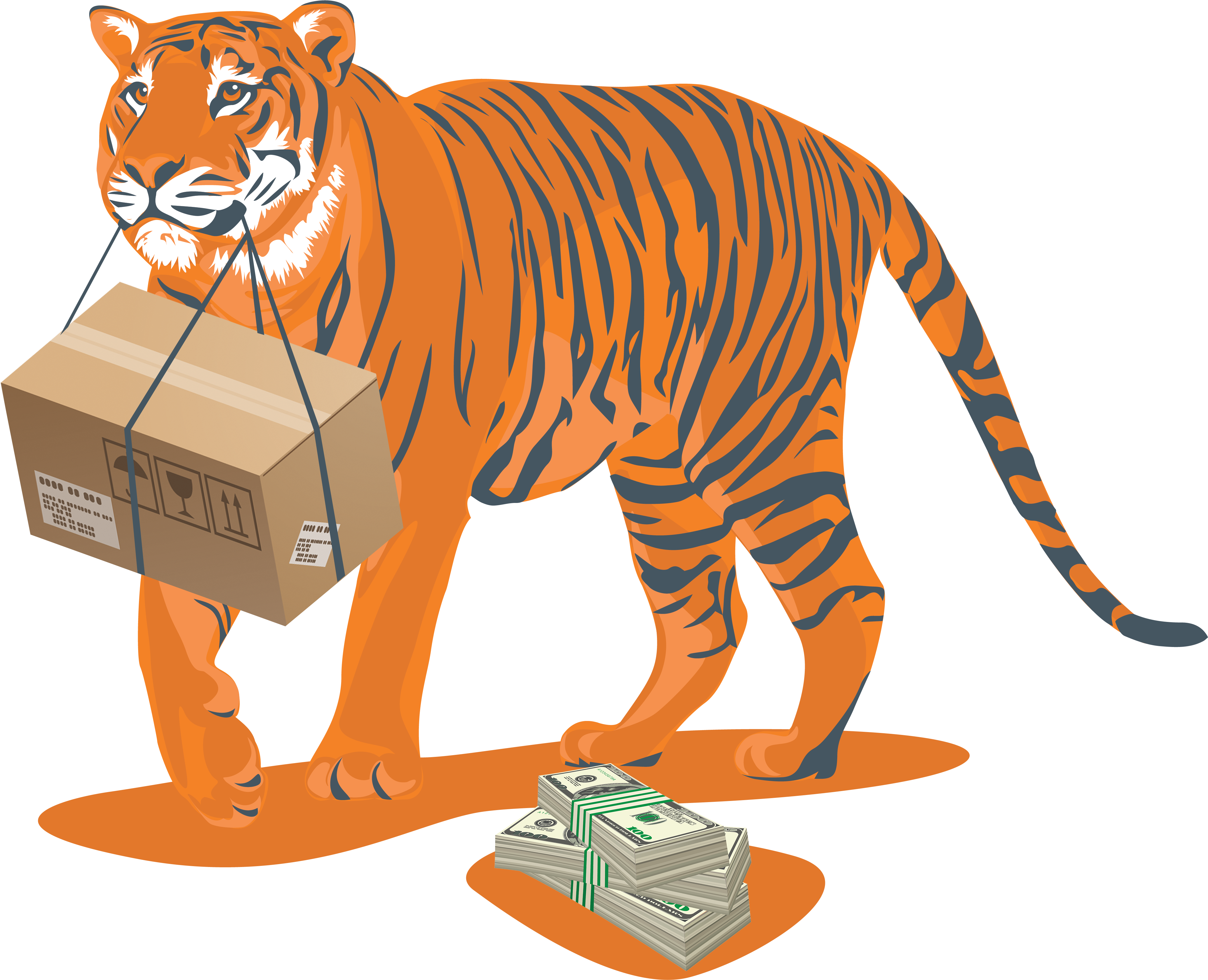 Tiger - Siberian Tiger (4338x3954)