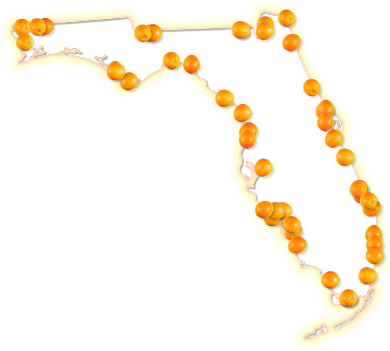 A Map Of Florida With A Yellow-orange Glow Border And - Florida Orange Production Map (768x692)