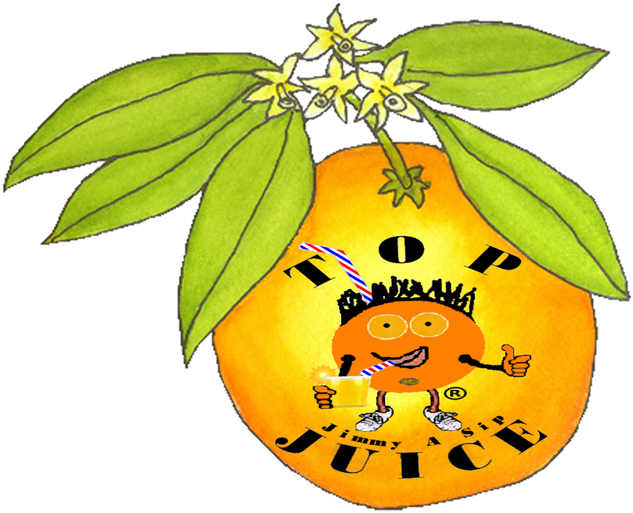 How Oranges Are Made, Inc - Business Plan (976x800)