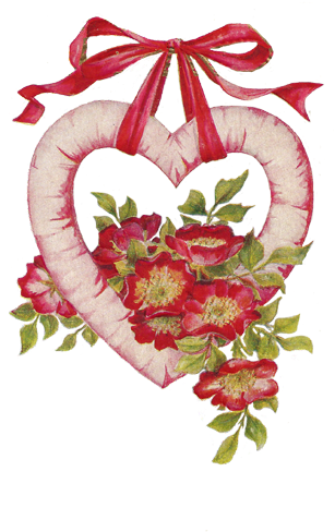 I Think This Png Is Really - Hybrid Tea Rose (308x495)