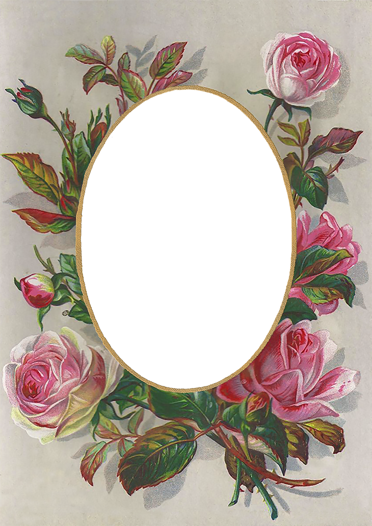 Wings Of Whimsy - Picture Frame (730x1033)