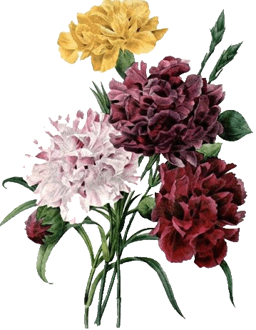 Vintage Flower Clipart Transparent - Vintage Flower Clip Art (359x462)