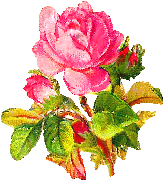 Vintage Pink Floral Clipart - Vintage Pink Floral Clipart (451x521)