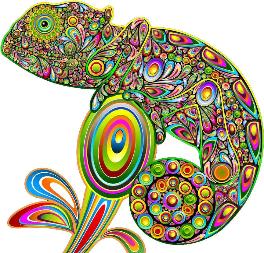 Chameleons Lizard Psychedelic Art Psychedelia - Psychedelic Iguana Sticker (rectangle) (888x855)