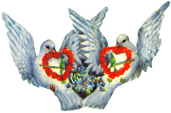 Valentine Pigeons With Heart Of Roses - Turturduvor (579x400)