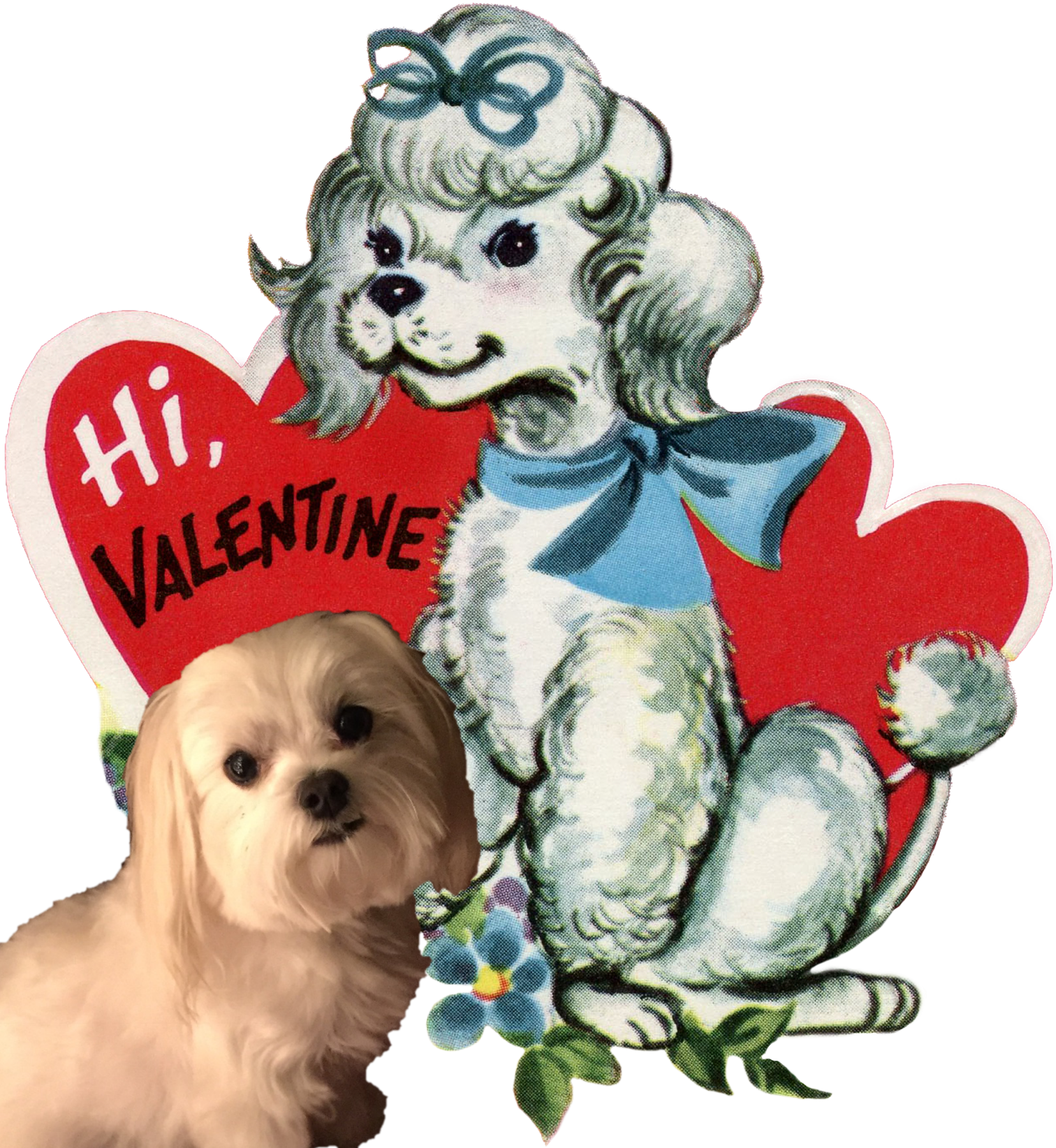Cody's Vintage Valentine's Day Party Ruby Lane Blog - Maltese (1656x1800)