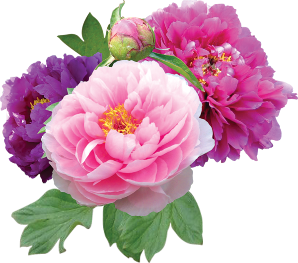 Ornament - God Bless You Chinese (600x529)