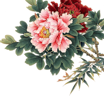 Tubes Fleurs - Daycraft A5 Flower Wow Lined Notebook - White (434x400)