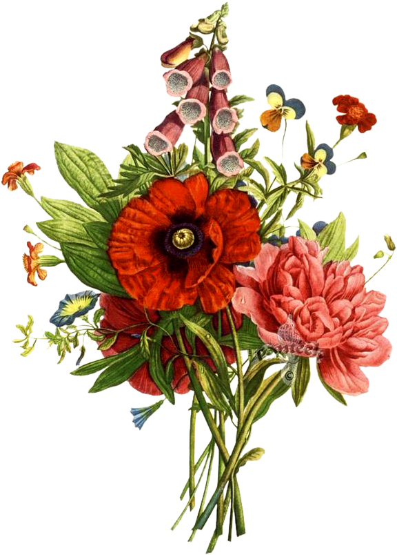 Bouquets By Jean-louis Prevost Botanical Print From - Mixed Botanical Prints (737x1000)