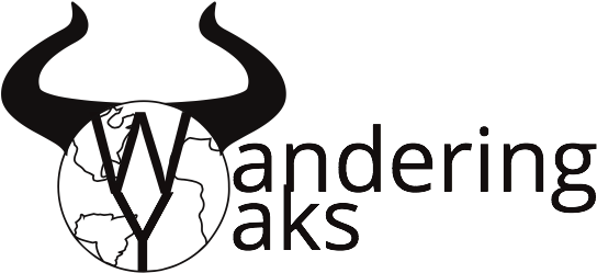 Wandering Yaks - Mongolia (700x298)