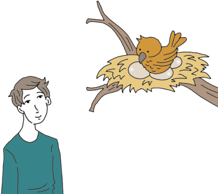 Birds Nest Tea Leaf Dictionary - Bird Nest (450x450)