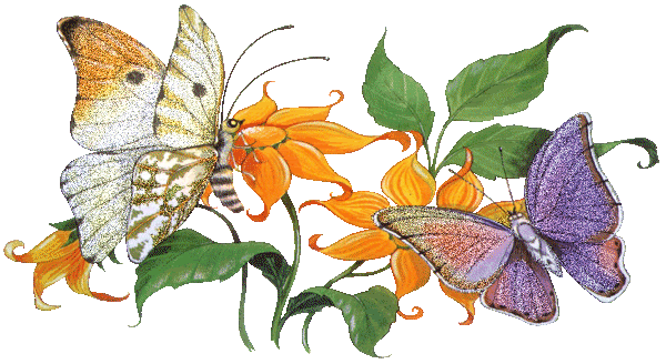 Animated Flowers And Butterflies Gif - Animated Butterfly And Flower Gif (600x328)