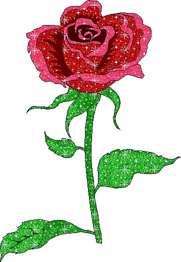 Amazing Animated Flower Gif With Flower Garden Animated - Imagenes De Rosas Hermosas Animadas (362x524)
