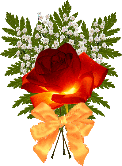 Anim Rózsaszál - Gify Kwiaty Bez Tła (550x550)
