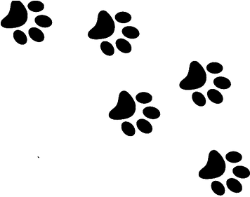 Coolest Cat Paw Print Clip Art Cat Paw Print Png Clipart - Wall Sticker Paw Prints (355x355)