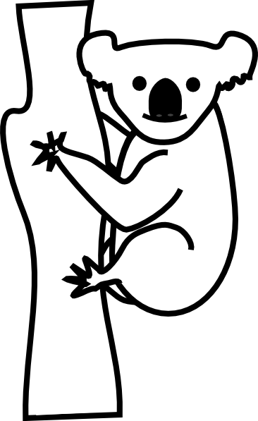 289 Best Koala Stuff Images - Koala Black And White (366x597)