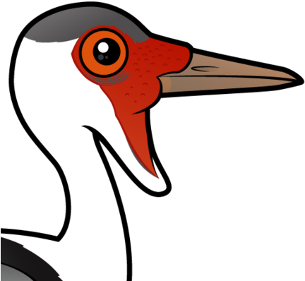 About The Wattled Crane - Wattled Crane (440x440)