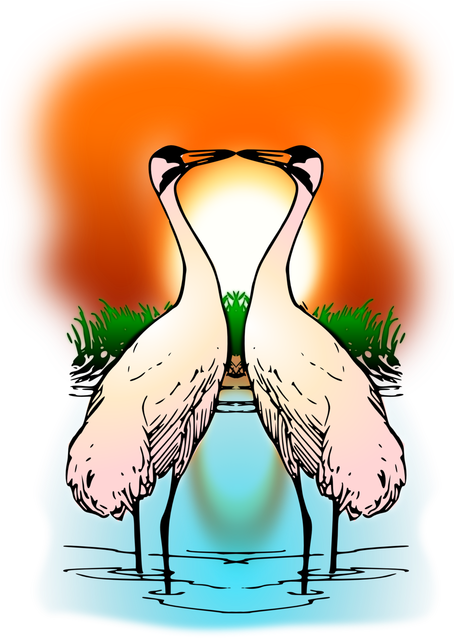 Two Love Whooping Crane - Love Crane (958x1355)