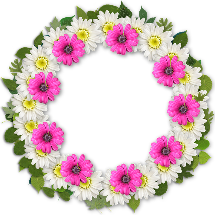 Free Photo Nature Frame Scrapbook Flowers Photoshop - Photography (720x720)