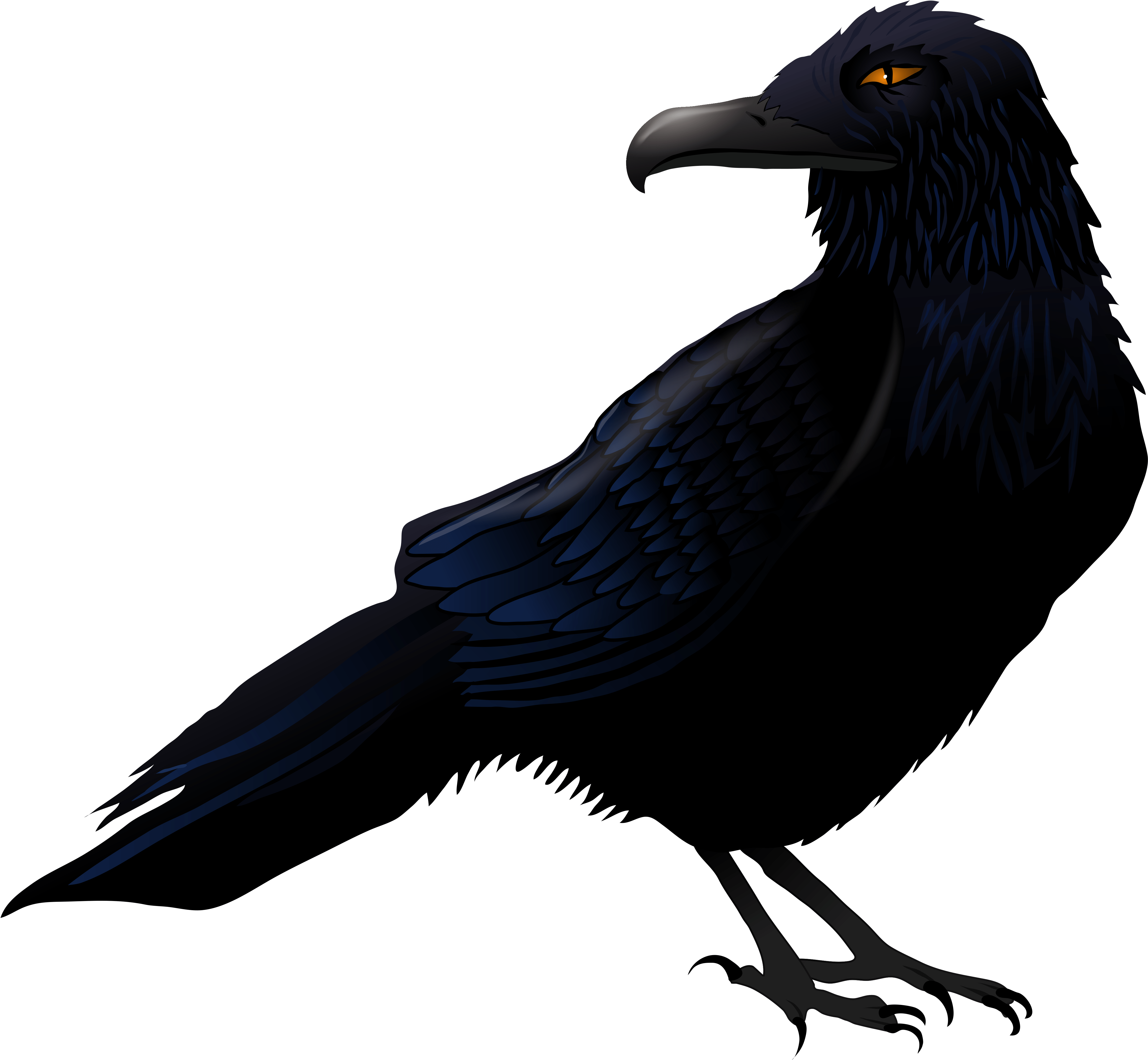 Halloween Raven Clip Art Clipart Free Download - Halloween Raven Png (5061x4586)